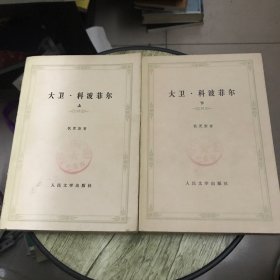 大卫.科波菲尔(上下全)