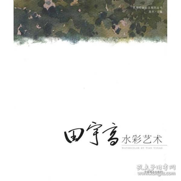 田宇高水彩艺术 美术作品 高冬 新华正版