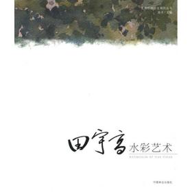 田宇高水彩艺术 美术作品 高冬 新华正版