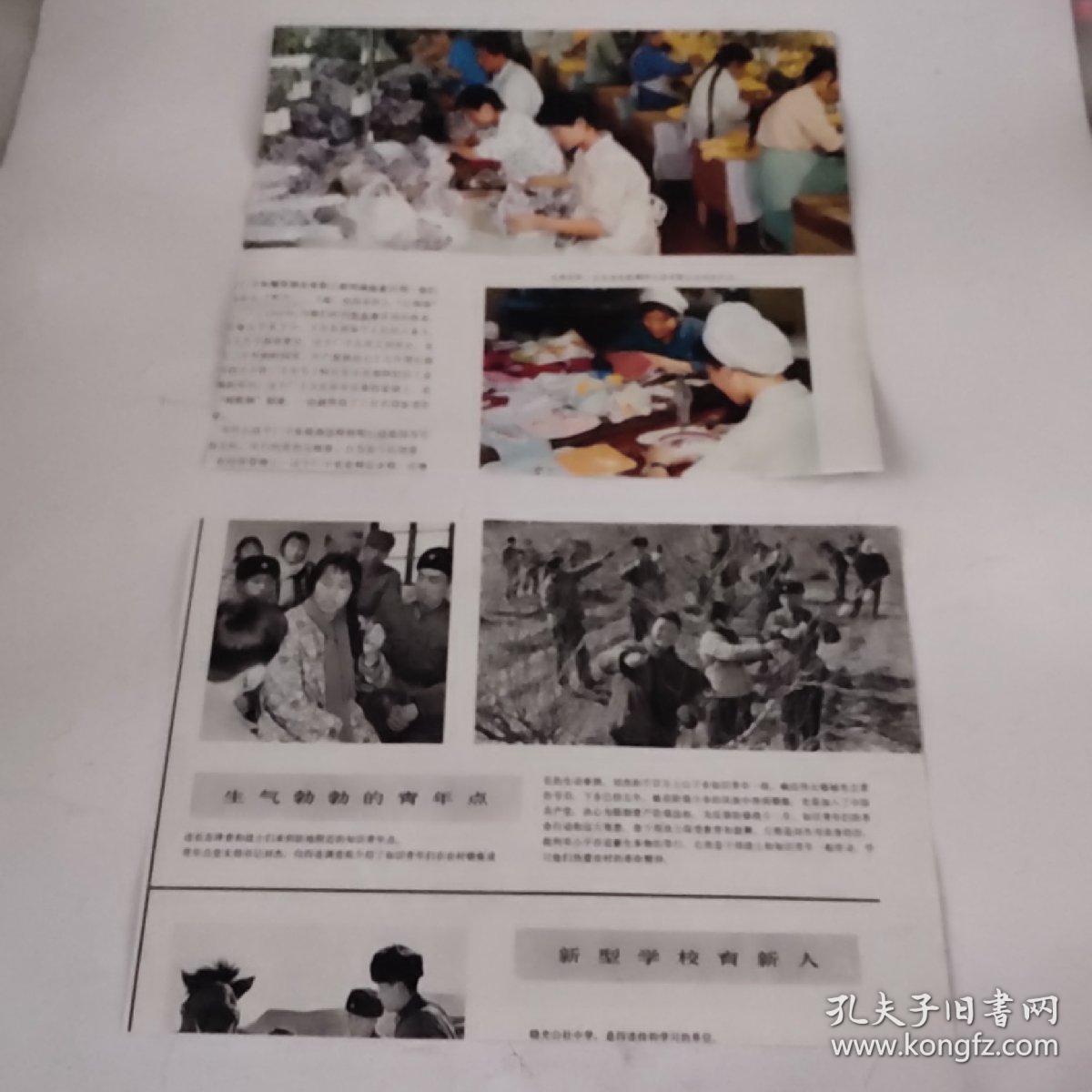 裁剪图片二张(约16开+略小于16开，拍前看好，介意勿拍)