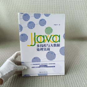 Java多线程与大数据处理实战