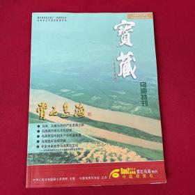 宝藏 2012年赏石乌海特刊