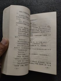 剑湖风流<上下册>老版武侠小说