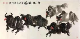中国美术家协会甘肃分会会员巴爱天四尺精品耗牛，保真销售。