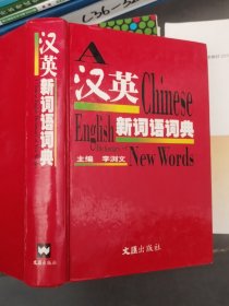 漢英新詞語詞典