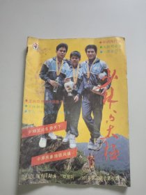 少林与太极(1991年第3期)