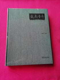 盛气青年 2016年中国当代青年艺术家作品集