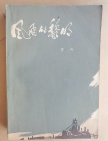 风雨的黎明