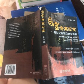 国宝奇案纪实：惊世文物被窃案全揭秘