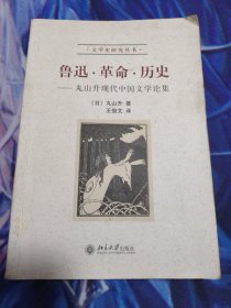 鲁迅.革命.历史——丸山升现代中国文学论集