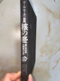 核の冬 第三次世界大戦後の世界