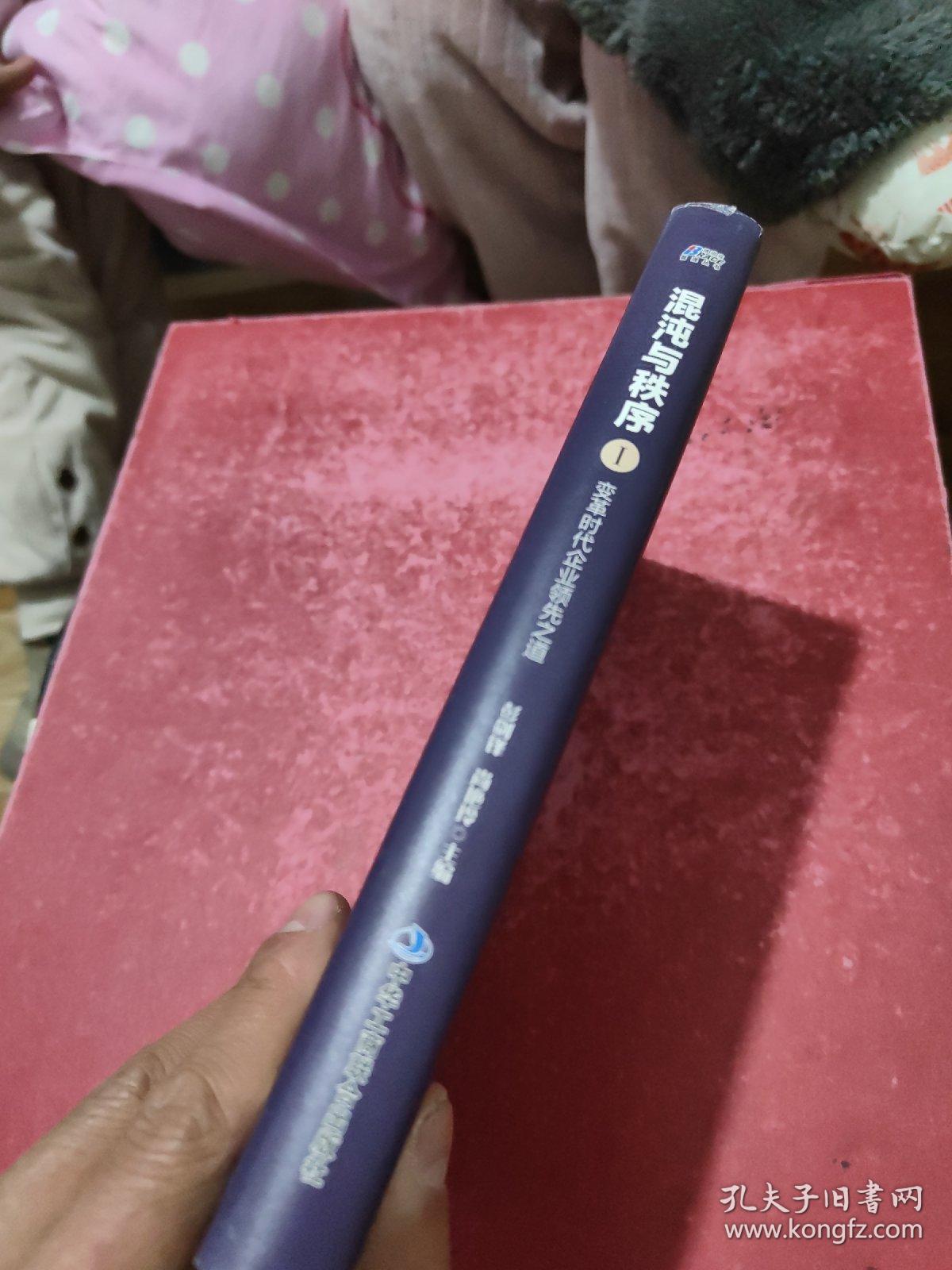 混沌与秩序1：变革时代企业领先之道