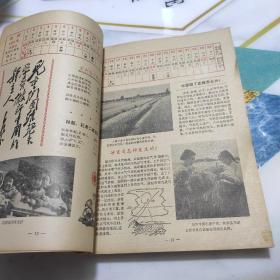 东方红1975  74年12月北京1印 有意见表 盖南京新华书店长江大桥图案章