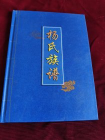 辽宁海城《杨氏族谱》（二版）【048+】