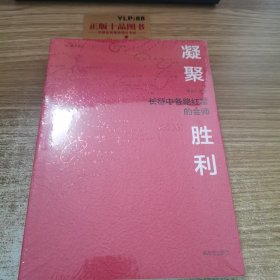 凝聚.胜利——长征中各路红军的会师