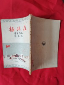在北极