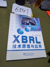 XBRL技术原理与应用