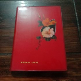 雷锋 老笔记本（1967年）有雷锋活动插图