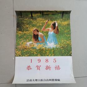 1985年恭贺新禧挂历(云南大理白族自治州制药厂产品宣传)13张全