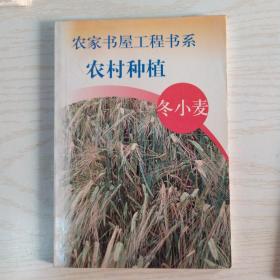 农村种植～冬小冬