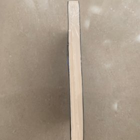 地底世界之雾隐占婆