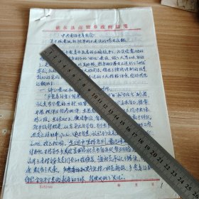 中共南留乡委员会关于抓党风和领导班子建设的情况汇报 16开手稿4页