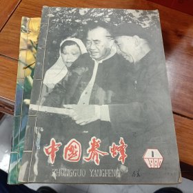 中国养蜂(1980、1981、1982、1983全年共24期)