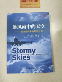 暴风雨中的天空：经济危机中的航空公司