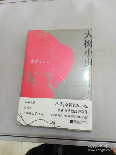 大树小虫