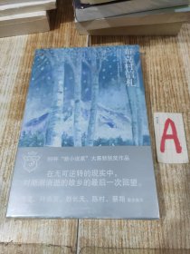 布克村信札：新小说家系列 （一版一印）