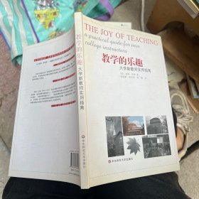 教学的乐趣：大学新教师实用指南