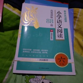 2023版名师特训小学语文阅读高效训练88篇6年级5版全彩版大16开168页