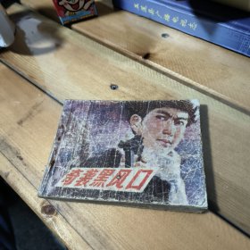 奇袭黑风口