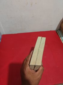 中共历史转折关头:关键会议亲历实录（上下）