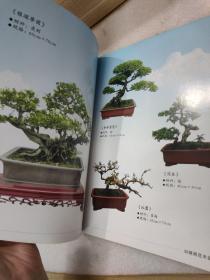 刘锦周花木盆景（铜版纸彩印）