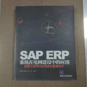 SAP ERP系统在电网建设中的应用：探索大型项目的信息化管理技术