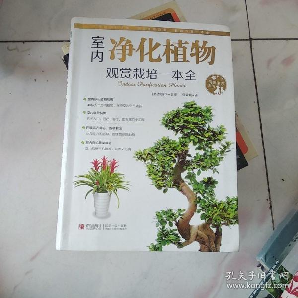 情趣生活系列：室内净化植物观赏栽培一本全