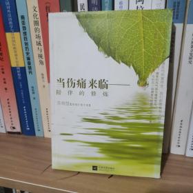 当伤痛来临：陪伴的修炼（伤痛疗愈专家苏绚慧著作）