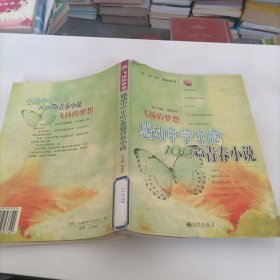 飞扬的梦想：感动中学生的100篇青春小说