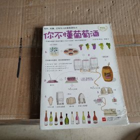 你不懂葡萄酒：有料、有趣、还有范儿的葡萄酒知识