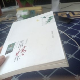 家国情怀