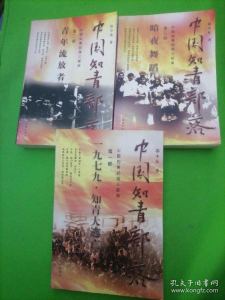 中国知青部落三部曲（全三部 第一部1979知青大逃亡 第二部 青年流放者 第三部暗夜舞蹈 ）