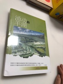 涌动的羊湖 中国现当代文学 贺贵成著 新华正版