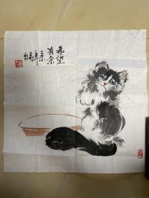 张华 猫画 字画 纯手绘 国画 斗方 作品