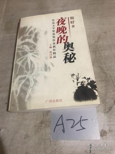 鲁迅文学奖获奖作家新作精品：微尘中的金屑