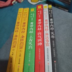 徐文兵梁冬对话黄帝内经6本合售