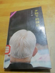 夕阳下的骚动