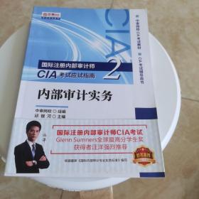 2020年国际注册内部审计师CIA考试应试指南：内部审计实务