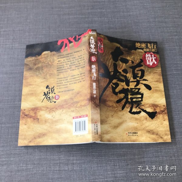 大漠苍狼：绝密飞行