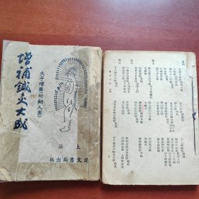 增補针灸大成 上海建文书局出版上下册共两本